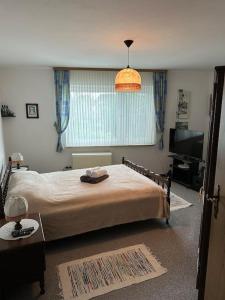 Un dormitorio con una cama grande y un televisor. en Charming 2 Bedroom House with Cozy Attic in Scenic Ferschweiler Perfect for Families!, en Ferschweiler