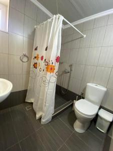 a bathroom with a toilet and a shower curtain at Sappir House in Pigadhákia