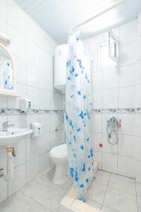 a bathroom with a toilet and a shower curtain at Villa Ljupce in Ohrid +55 photos