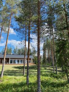 una casa en el bosque con árboles en primer plano en Villa Forestime, en Lyytilänmäki 23 fotos más