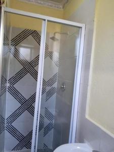 a bathroom with a shower and a toilet at Qten City in Pietermaritzburg