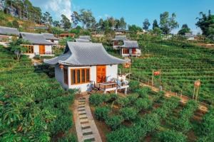 Zahrada ubytování Chenfong Rakthai Resort-ไร่ชาเฉินฟงรีสอร์ท