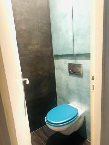a bathroom with a blue toilet in a stall at LOFT A 15 MINUTES DE PARIS ET 30 MINUTES DISNEY in Parc Saint-Maur
