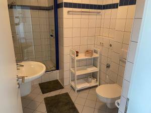 a bathroom with a toilet and a sink and a shower at Ferienwohnung Röttgen in Winningen