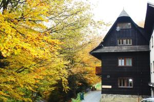 Dolní Bečva的住宿－Chata Mir，前面有黄色树木的黑色房子