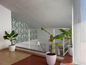 Fotografie z fotogalerie ubytování Apartamentos Port Marina v destinaci Palamós