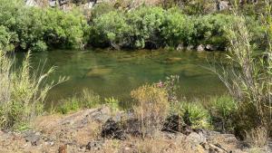 Afbeelding uit fotogalerij van Malhada do Sao in Tavira
