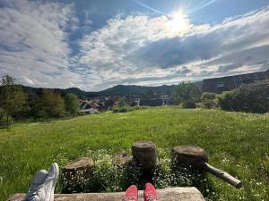 a person sitting on a bench in a field at Ferienwohnung am Berg in Wolfshagen +16 photos