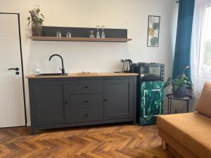 Kuchyň nebo kuchyňský kout v ubytování Monstera I