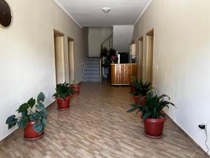 Foto sihtkohas Golem asuva majutusasutuse Canary Hotel galeriist