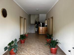Foto sihtkohas Golem asuva majutusasutuse Canary Hotel galeriist