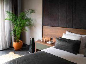 Cama ou camas em um quarto em SennaCity Hotel