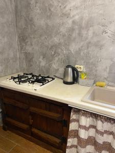 a kitchen counter with a stove and a sink at U Bogdana in Yaremche +15 photos