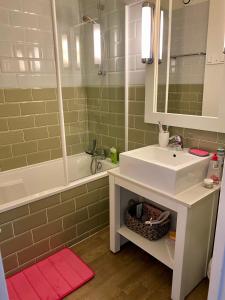 Koupelna v ubytování Apt 4 residence in the heart of St-Martin with swimming pool and parking