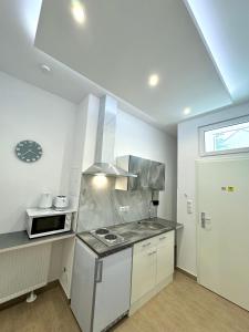 a kitchen with a sink and a stove top oven at Micro Apartment Leipzig 2 in Leipzig