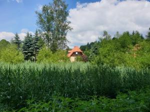 Afbeelding uit fotogalerij van Zielony Zakątek in Łubno
