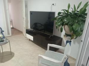 ein Wohnzimmer mit einem Stuhl und einer Topfpflanze in der Unterkunft Apartahotel Acuña in Moniquirá