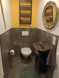 a bathroom with a sink and a toilet and a mirror at Alte Brennerei Apartments in Traben-Trarbach +16 photos