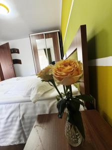 Gallery image of Carpathian Newstar in Sibiu +58 photos