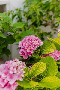 Fotografie z fotogalerie ubytování Casa Gabriella - Appartamento v destinaci Taviano + 39 fotografií