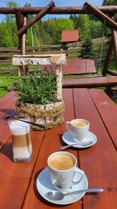 two cups of coffee sitting on a wooden table at Stylove Apartamenty in Kocierz Rychwałdzki