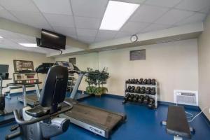 Fitness centrum a/nebo fitness zařízení v ubytování Comfort Inn & Suites South