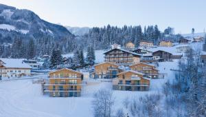 a resort in the mountains in the snow at Panorama Lodge Premium Apartments in Schladming