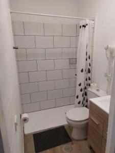 a bathroom with a toilet and a shower curtain at Vista Puerto Ground Floor No Balcon in Arguineguín