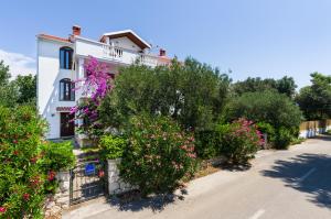Gallery image of Apartments Ivanka in Petrcane
