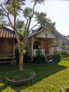 Zahrada ubytování Linkgreen Homestay Lombok