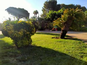 Vonkajšia záhrada v ubytovaní Casa Donna Razietta - Natura e relax