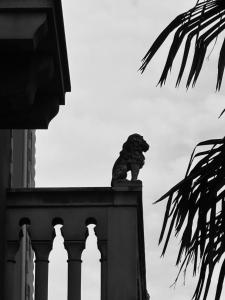 a statue of a lion sitting on top of a building at Casa Lovisoni in Cervignano del Friuli