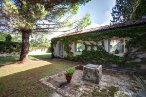 穆羅萊切塞的住宿－Tenuta Sant'Andrea，院子里有盆栽的房屋
