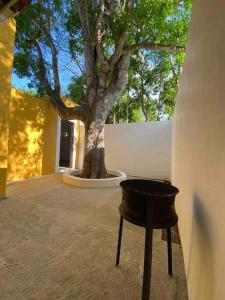Φωτογραφία από το άλμπουμ του Casa Chac, el mejor lugar para descansar σε Izamal