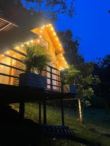 Vrt pred nastanitvijo Cabañas Wilú