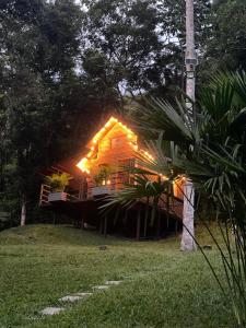 Vrt pred nastanitvijo Cabañas Wilú