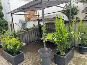 Zahrada ubytování Zentral gelegene Remscheider Ferienwohnung