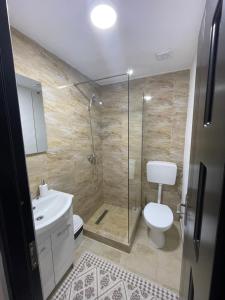 a bathroom with a shower and a toilet and a sink at La Lenuța În Susani in Breb