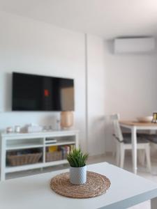 a plant sitting on a table in a living room at Apartamento Duquesa de España Torremolinos in Torremolinos