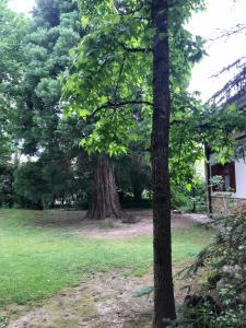 Ogród w obiekcie Caserio Arrigorri excelente ubicación jardín con barbacoa 14 plazas