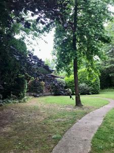 Ogród w obiekcie Caserio Arrigorri excelente ubicación jardín con barbacoa 14 plazas