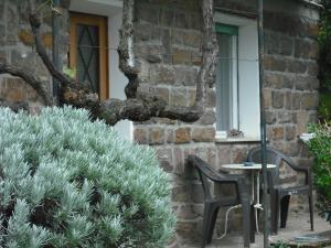 A garden outside Casa Martello