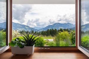 ホップフガルテン・イム・ブリクセンタールにあるBergnest Penningのギャラリーの写真