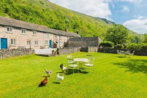 un groupe de poulets debout autour d'une table dans une cour dans l'établissement Heron Cottage Upperdale Peak District, à Buxton