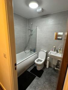 Koupelna v ubytování Pond View Spacious Apartment