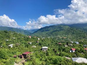 Gambar di galeri bagi 8 mountains Cottage near Chakvi di Gorgadzeebi