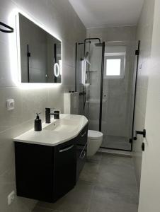 a bathroom with a sink and a shower and a toilet at Apartmani Frane in Vir