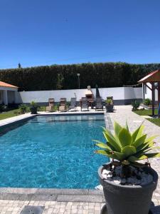 Bazén v ubytování Quinta Relax Azores nebo v jeho okolí