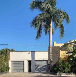 una palmera frente a un edificio con garaje en Casa Grande con Jacuzzi cerca de ctra MochisTopo, en Los Mochis 40 fotos más