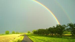 a rainbow over a field and a road at Ferienhof Schlössle in Sasbach am Kaiserstuhl